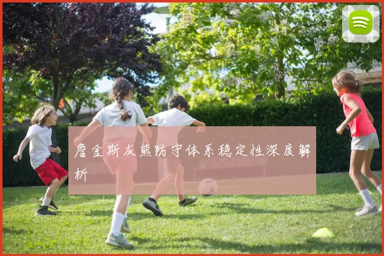 詹金斯灰熊防守体系稳定性深度解析