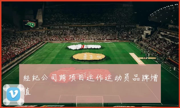 经纪公司跨项目运作运动员品牌增值