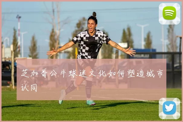 芝加哥公牛球迷文化如何塑造城市认同
