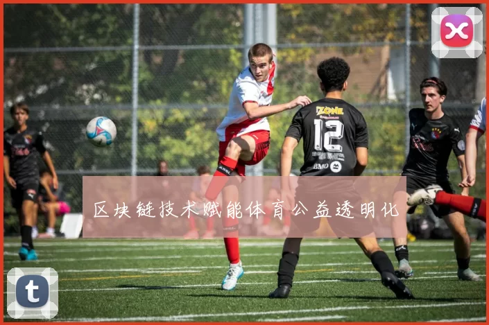 区块链技术赋能体育公益透明化